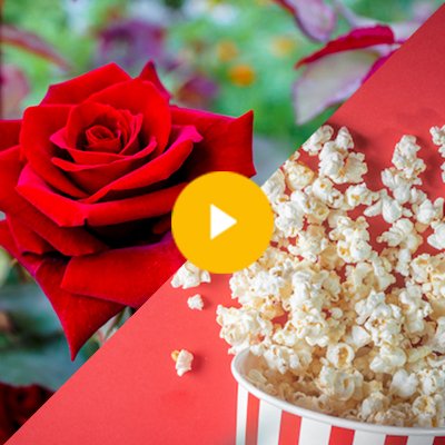 Roses are red Poem | Popcorn Poem, 2° B EFI